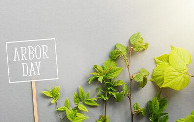 Celebrate Arbor Day in Your Neighborhood